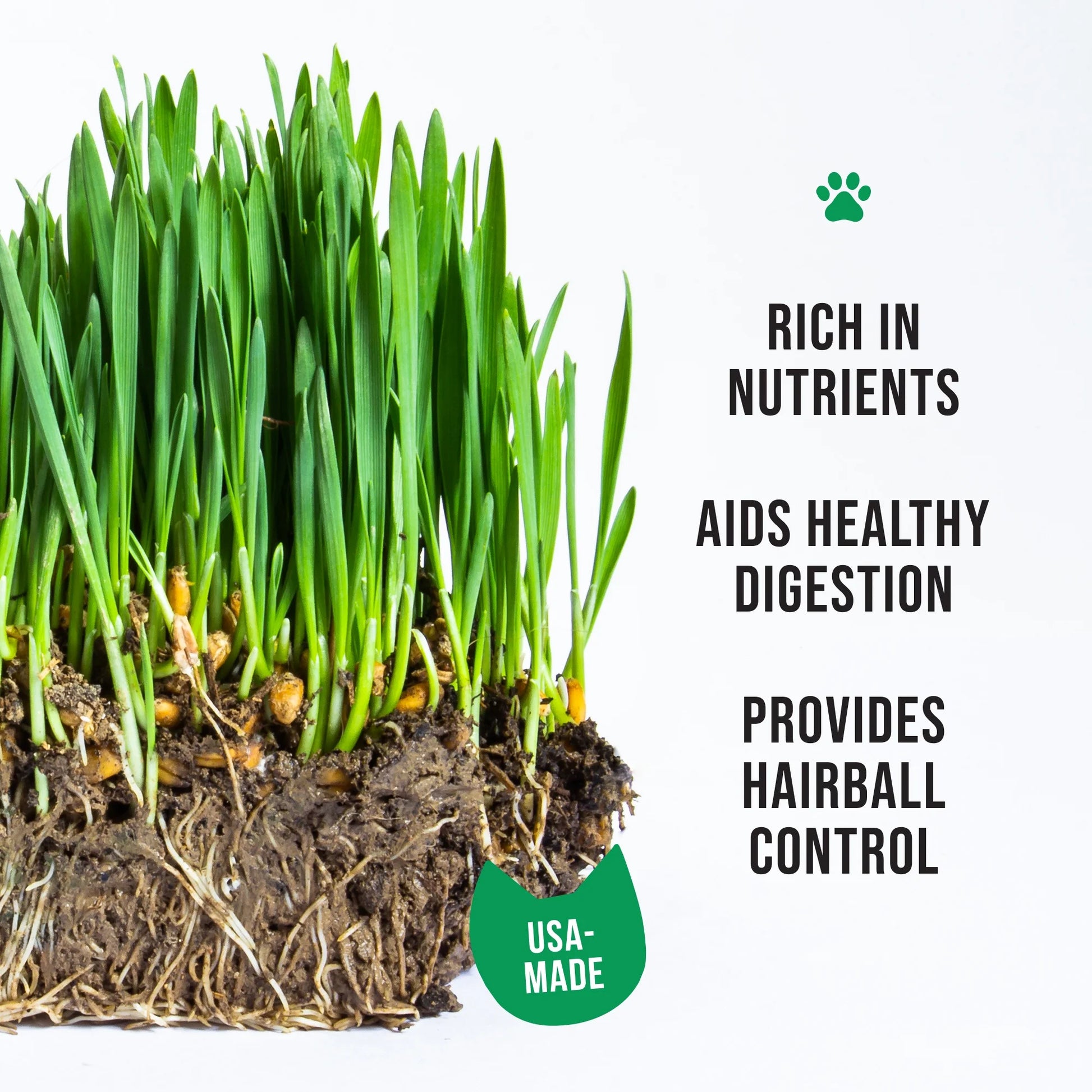 Organic Cat Grass Kit with Black Cat Ceramic Planter, Easy Indoor Planting Gift Set